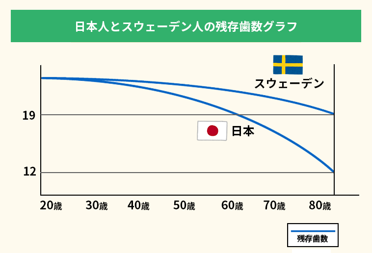 日本人とスウェーデン人の残存歯数グラフ